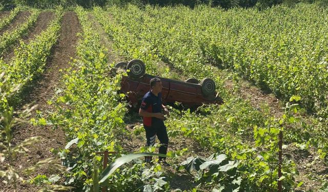 Direksiyon hakimiyetini kaybetti: Üzüm bağına devrildi