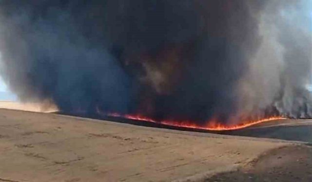 Diyarbakır’da bin dönümlük arazi küle döndü