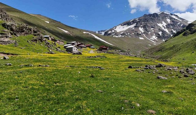 Dulağa Yaylası’nın Alpler’i aratmayan güzelliği