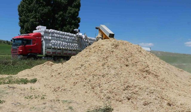 Elde kalan saman Karadeniz ve Akdeniz Bölgesi’ne gönderildi