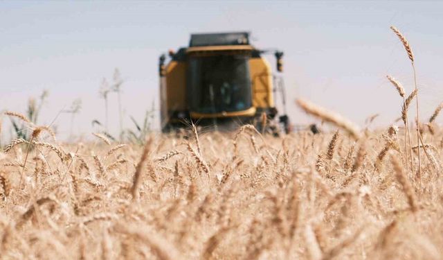 Emekli öğretmenin Mardin’de zorlu biçerdöver mesaisi