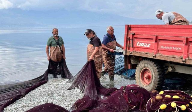 Gümüş balığında umutlar Ağustos’a kaldı