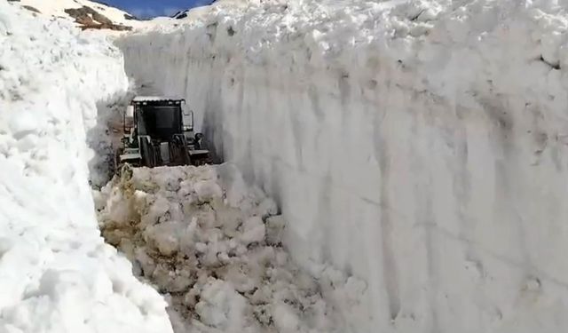 Haziran ayında 6 metreyi bulan karda yol açma çalışması