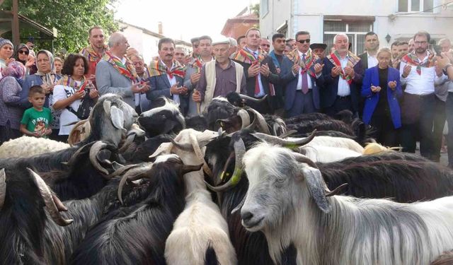 Isparta’da 400 yıldır süren "Geleneksel Kurban İndirme Geleneği" gerçekleştirildi