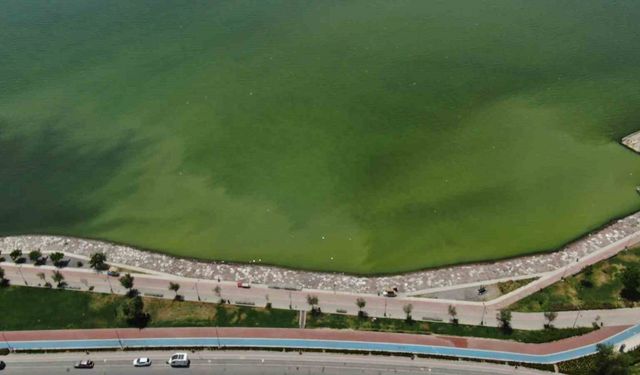 İzmir’in iki ilçesinde denizin rengi değişti, kötü koku yayıldı