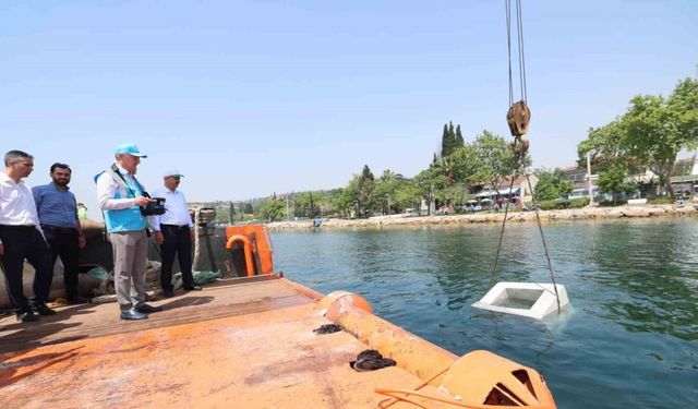 İzmit Körfezi’nde balıkçılığı desteklemek için önemli proje