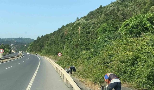 Karadeniz Ereğli’de plajlarda temizlik çalışması sürüyor