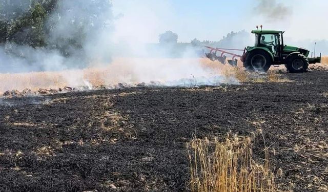 Lüleburgaz’da tarla yangını korkuttu