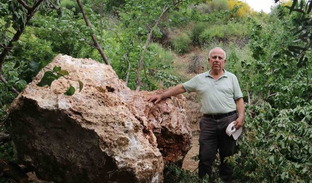 Mahalleli diken üstünde: Kayısı topladıkları esnada taş ocağından 10 tonluk devasa kaya düştü