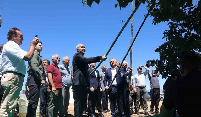 Malatya’da kayısı hasat şenliği düzenlendi