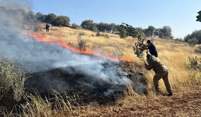 Mardin’de çıkan yangınlar söndürüldü