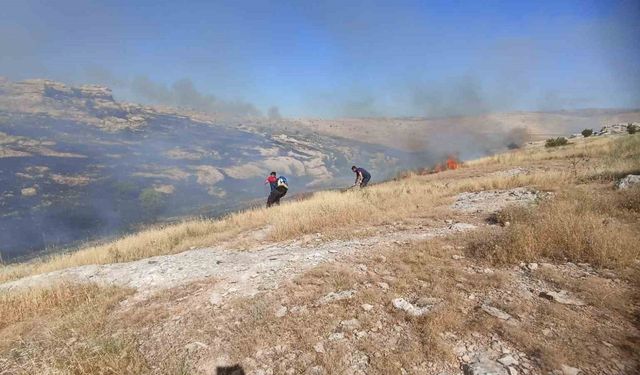 Mardin’de ormanlık alanda çıkan yangın devam ediyor