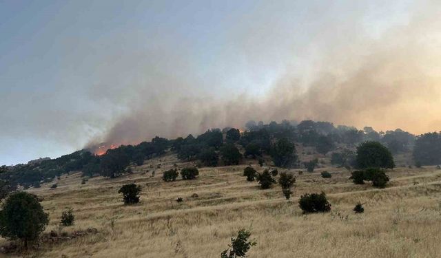 Mardin’de ormanlık alanda çıkan yangın söndürüldü