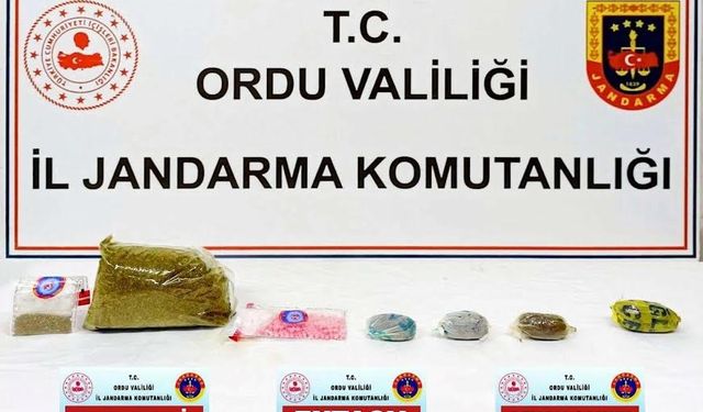 Ordu’da uyuşturucu operasyonu: 1 tutuklama