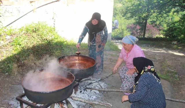 Ordulu kadınların dut pekmezi mesaisi