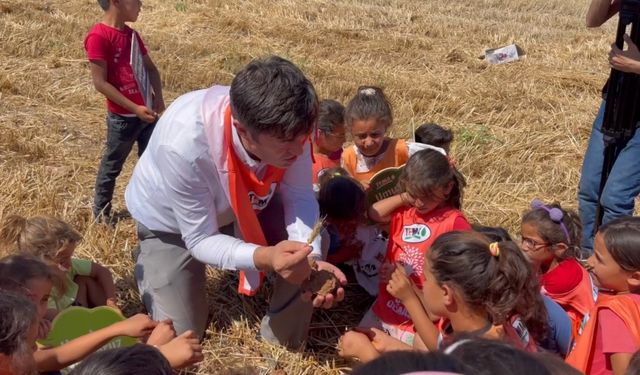 Şanlıurfalı miniklere anız yakmanın zararları anlatıldı