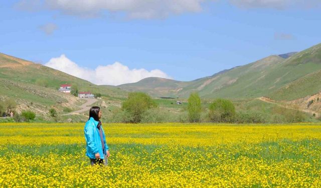 Sarıçiçek Köyü’nde 20 günlük doğa şöleni başladı