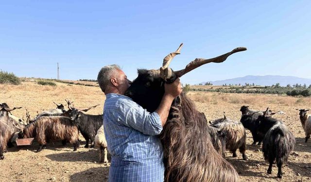 Sattığı kurbanlıklarla duygusal bağ kuran adam yaptıklarıyla gülümsetiyor