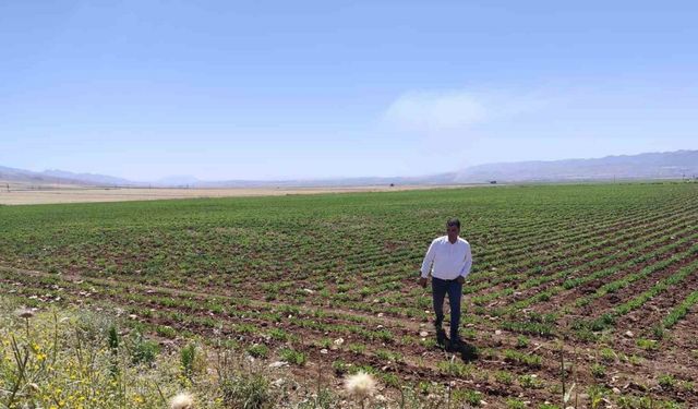 Silopi’ye bin kişiyi istihdam edecek Sera Organize Tarım Bölgesi kuruluyor