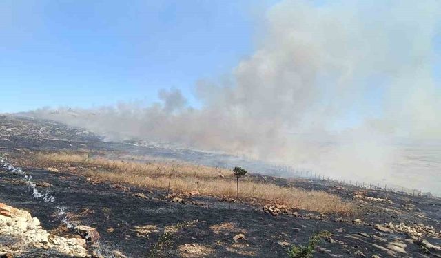 Silvan’da örtü yangını