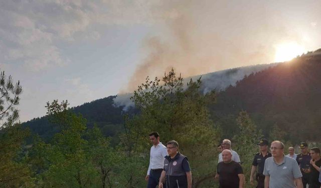 Sinop’taki orman yangını kontrol altına alındı