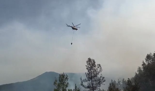 Sinop’taki orman yangını