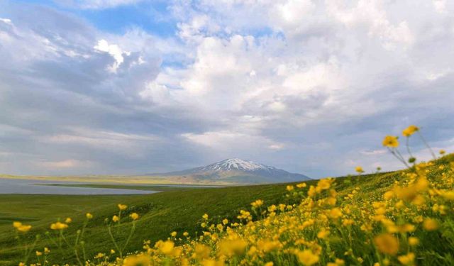 Sütey Yaylası ve Süphan Dağı’nda bulut geçişleri görsel şölen oluşturdu