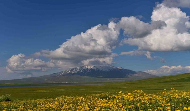 Sütey Yaylası ve Süphan Dağı’ndan hayranlık uyandıran görüntüler