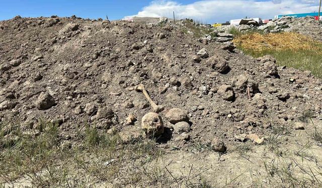 Van’da hafriyat atıkları arasında insan kemikleri bulundu