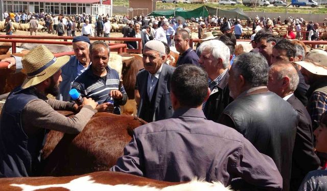 Van’da kurban pazarlarında sıkı pazarlıklar başladı