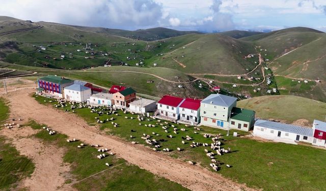 Yayla evi değil yayla apartmanı