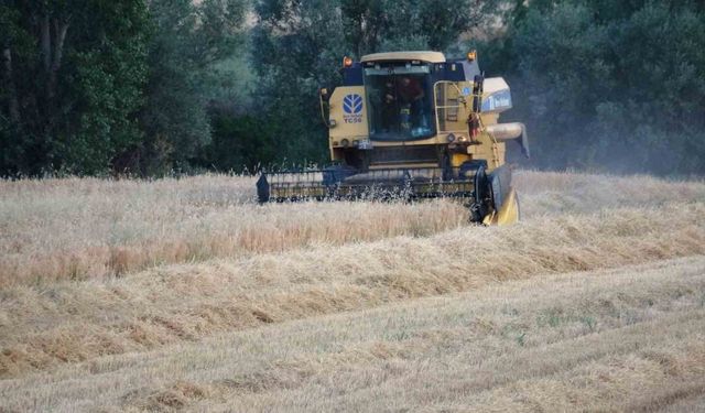 Yozgat’ta kuraklık nedeniyle arpa hasadı erken başladı