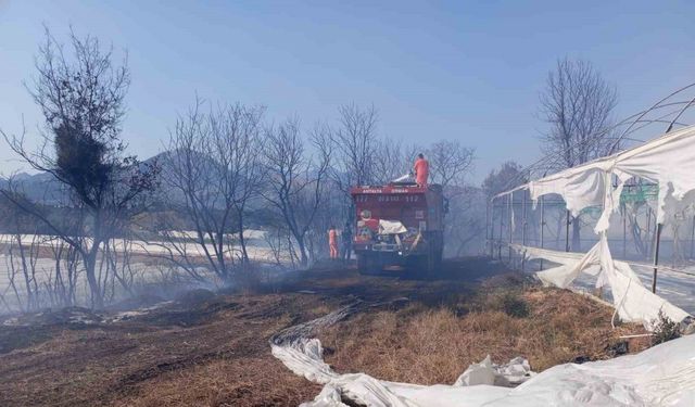 Antalya’da otluk alanda başlayan yangın zeytin ağaçlarına ve seraya sıçradı