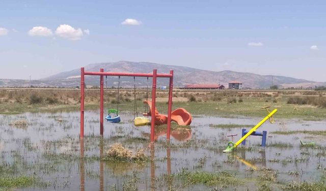 Bakımsız kalan kanallar merayı bataklığa çevirdi