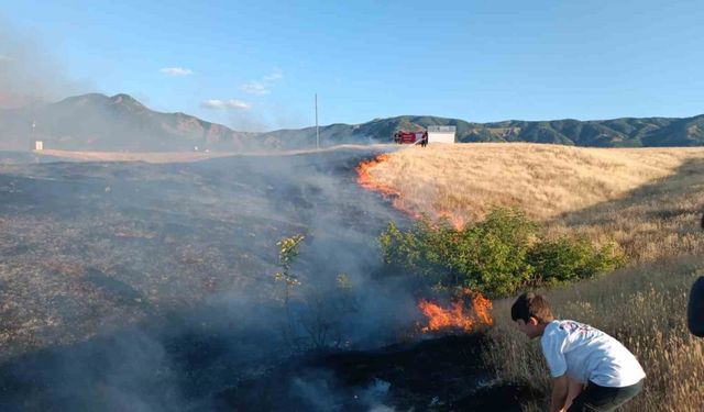 Bingöl’de kırsal alanda çıkan yangın söndürüldü