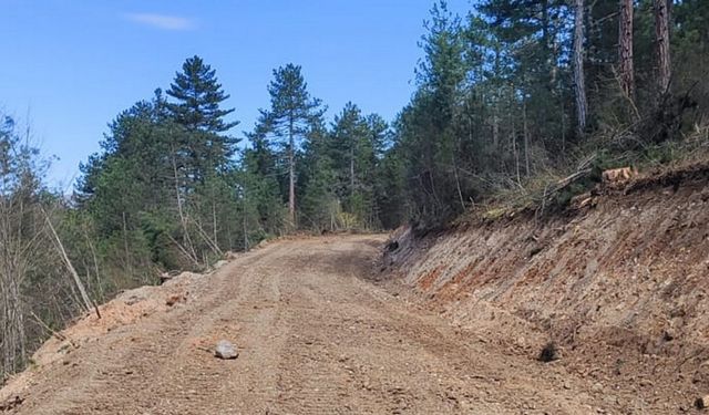 Bolu’da 12 kilometrelik orman yolu açıldı: Yangınlara daha hızlı müdahale edilecek