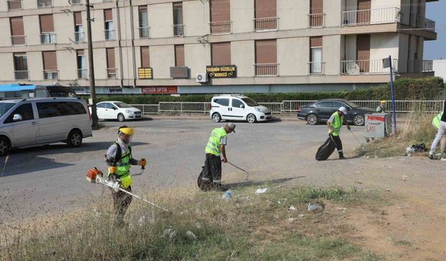 Darıca yaz temizliği