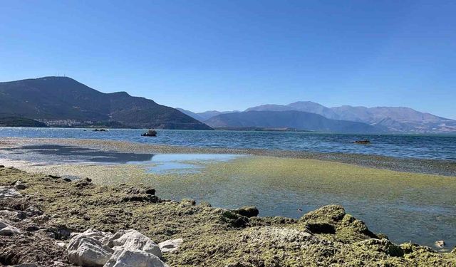 Eğirdir Gölü’nde sular 2 metre çekildi, koku tehdidi başladı