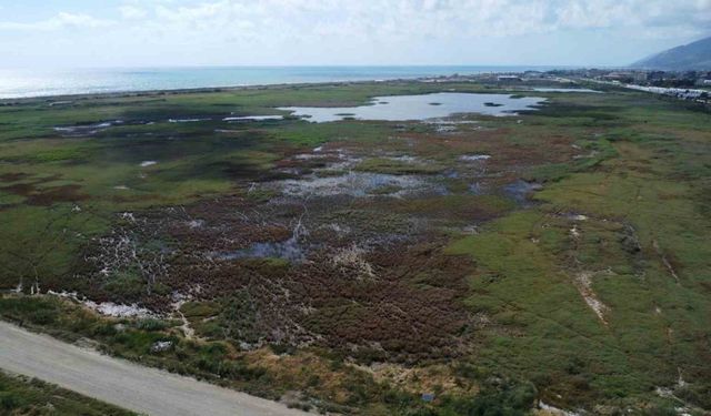 Göç yolunda bulunan doğa harikası kuş cennetinde kaçak hafriyat dökümüne zabıtalı önlem