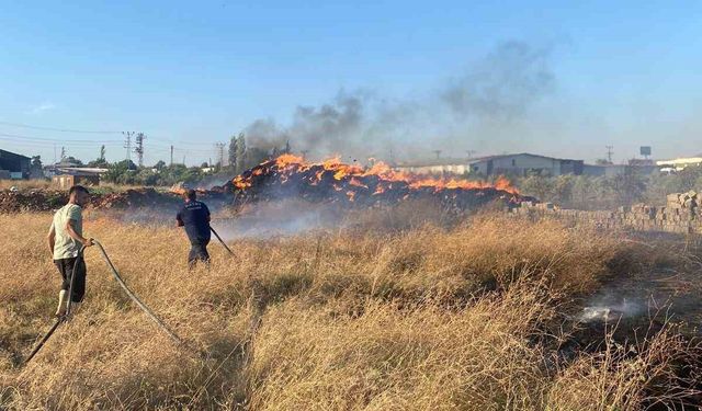 Hassa’da saman balyaları alevlere teslim oldu