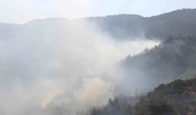 Hatay’daki orman yangını kontrol altına alındı