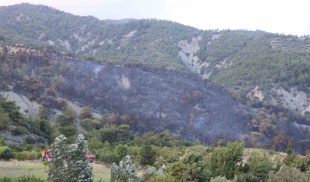 Havadan ve karadan müdahaleyle kontrol altına alınan yangında yaşananları muhtar anlattı