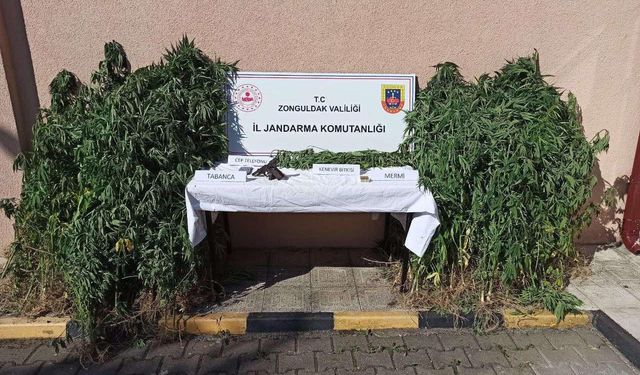 Jandarmanın eş zamanlı uyuşturucu operasyonunda 3 tutuklama