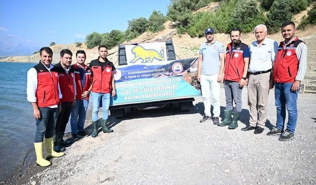 Kahramanmaraş’ta 916 bin adet yavru sazan balığı doğal ortamına kavuştu