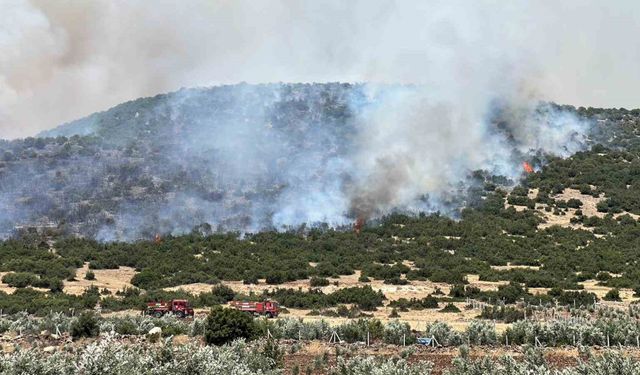 Kahramanmaraş’ta makilik alanda çıkan yangın kontrol altına alındı