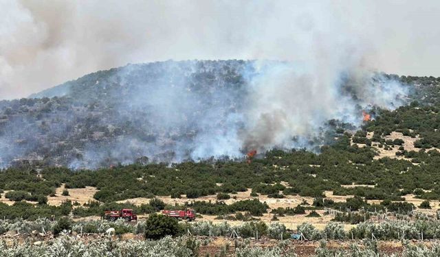 Kahramanmaraş’ta makilik alanda yangın