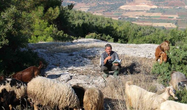 Kalemini ve defterini yanından ayırmayan yarım asırlık çoban Vehbi amca, keçilerinden aldığı ilhamla şiirlerini yazıyor