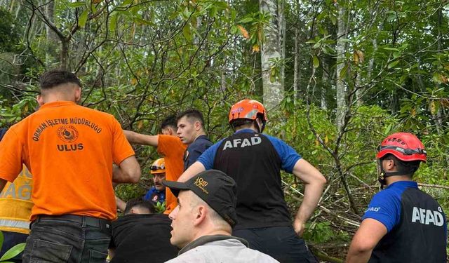 Kestiği ağacı damgalarken uçuruma düştü