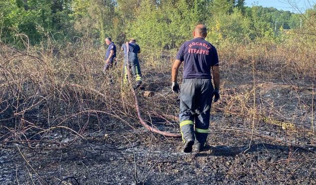 Kocaeli’de ağaçlık alan yandı: 10 hektar küle döndü