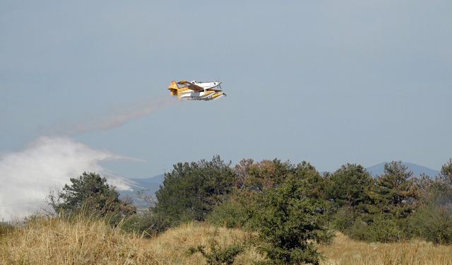 Saman yüklü kamyonet alev topuna döndü: Yangın ağaçlık alanlara sıçradı